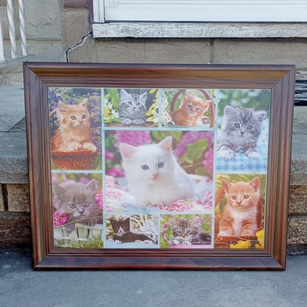 RARE Moving Cat & Kitten Picture w/ Brown Frame. Black White Tabby Orange Gray